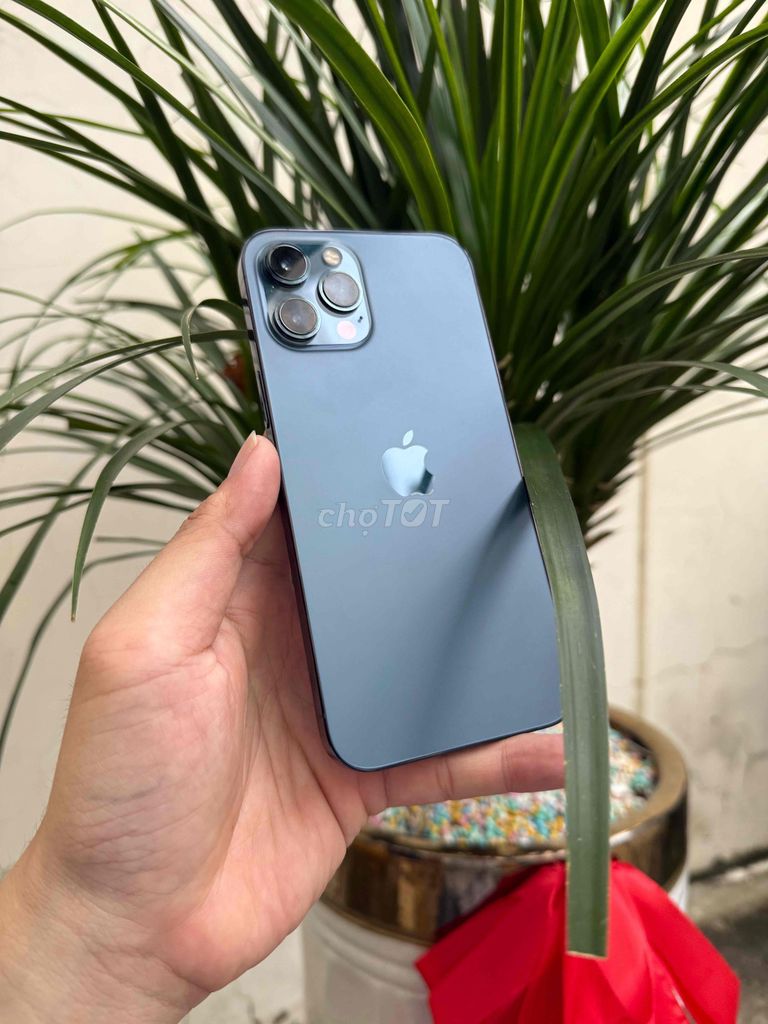 Фото 2: Apple iPhone 12 Pro Max 128GB Синий