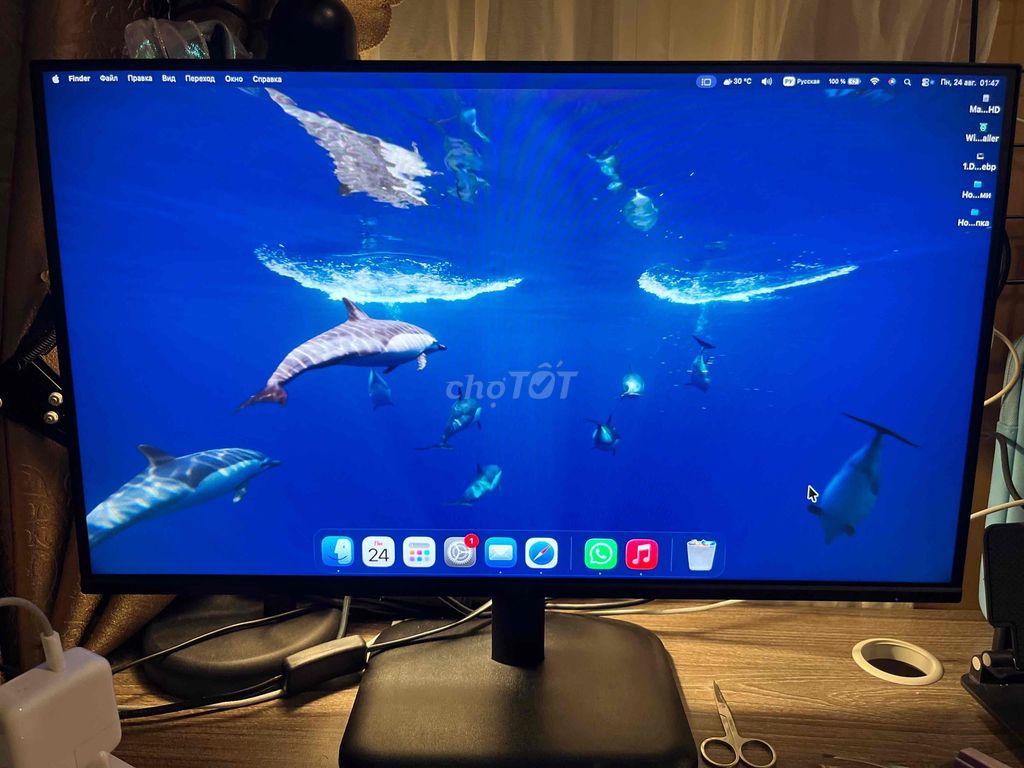Acer EK251Q 24.5 дюйма Full HD 75 Гц 7/2024