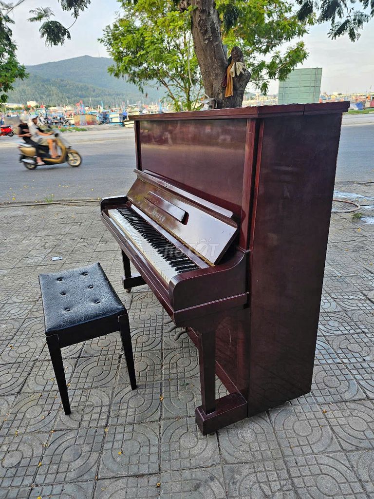 Trang trí nhà khách - đàn