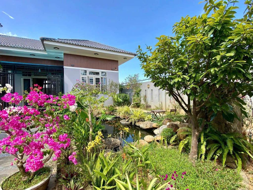 Фото 3: 🇻🇳 АРЕНДА ВИЛЛЫ С САДОМ И БАССЕЙНОМ В ТХАЙ - УЛИЦА ДАМ ФЫОНГ