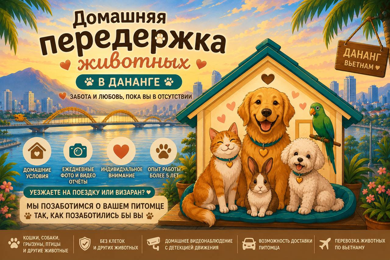 Предлагаем передержку и зооситтинг для животных в Дананге