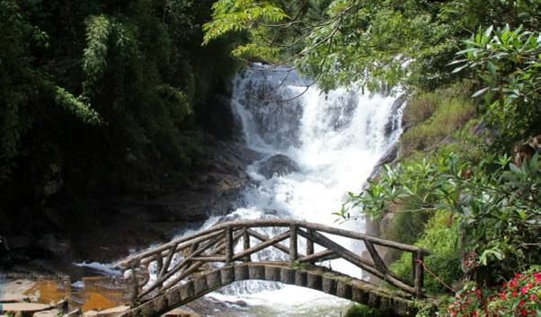 Фото 2: Двухдневный тур в Далат с посещением водопадов, пагод, кофейных ферм…