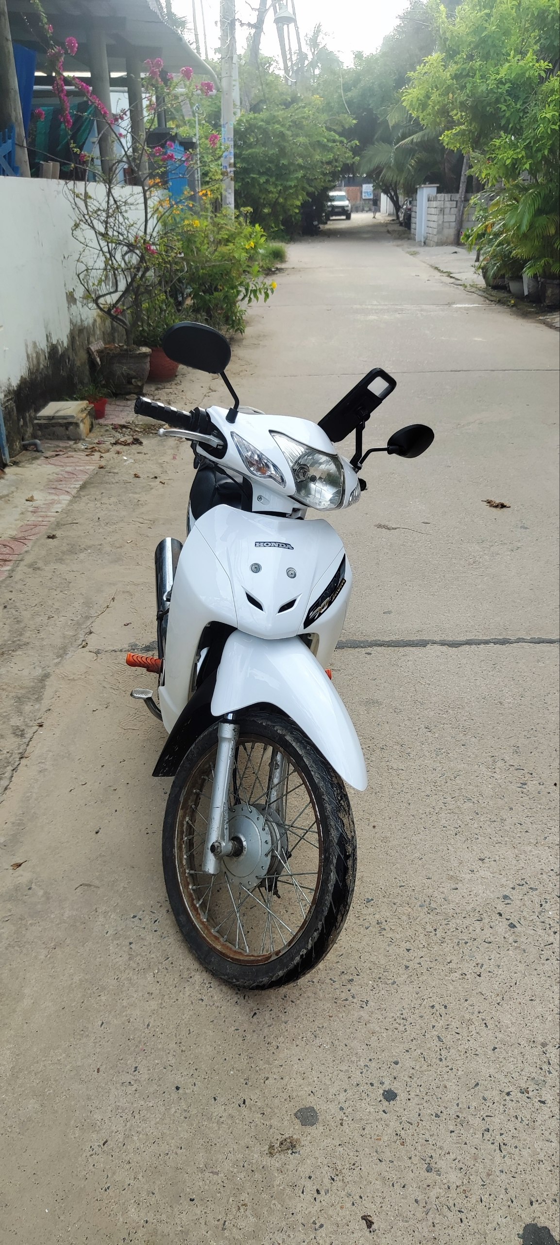Фото 3: Продаётся и сдаётся в аренду скутер Honda 50cc (полуавтомат)