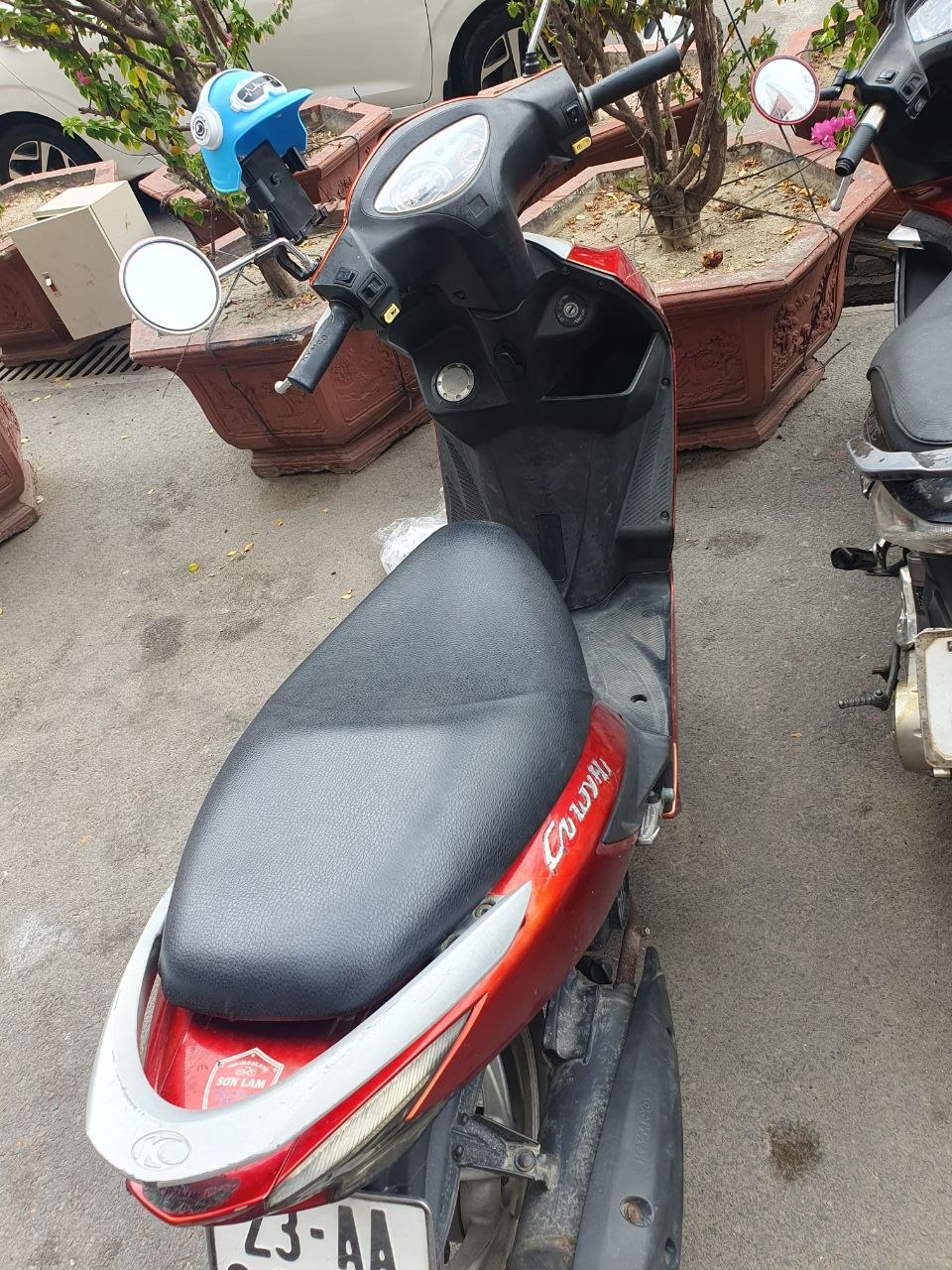 Сдаются в аренду скутеры Nioshima 50cc и Kymco 50cc