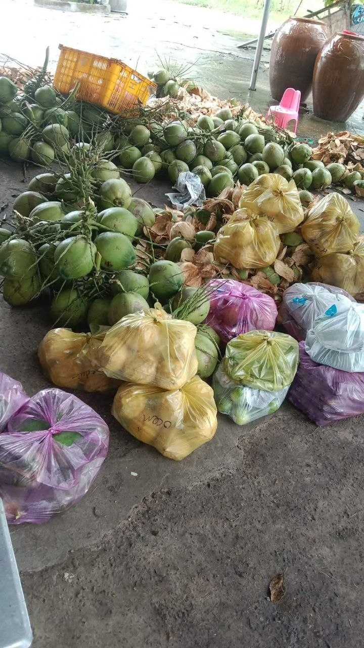 Продаётся набор из 11 кокосов, уже очищенных, как на фото
