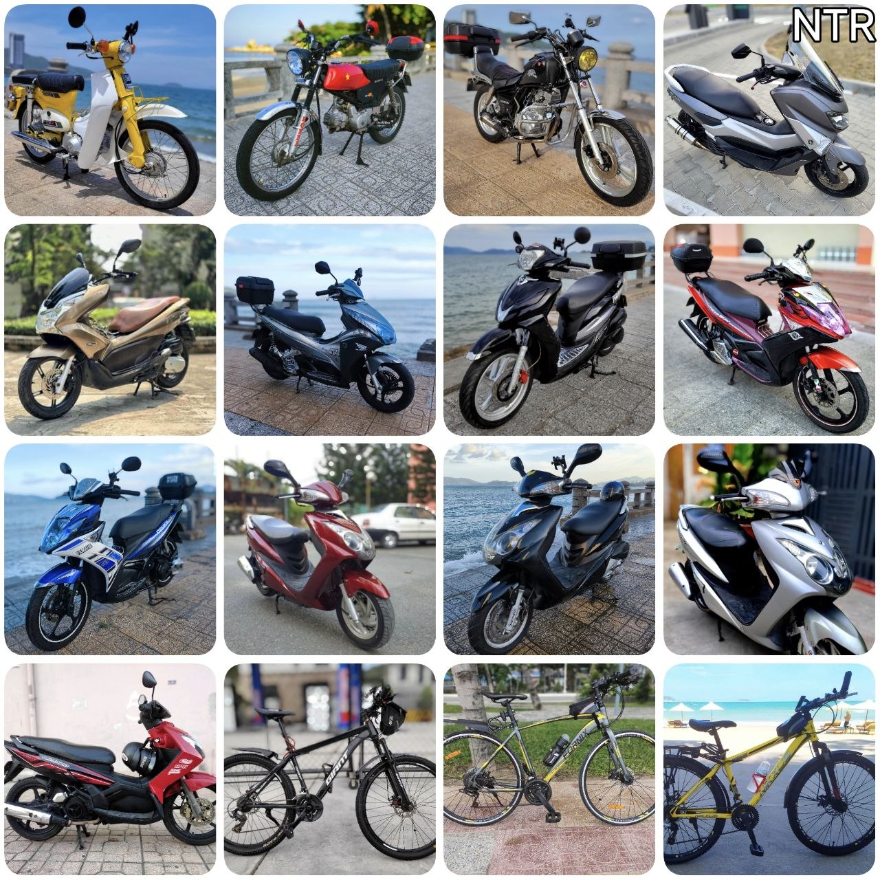 Фото 3: Предлагается в аренду Honda Cub 50cc (тюнинг до 100сс, полуавтоматическая 4КПП…