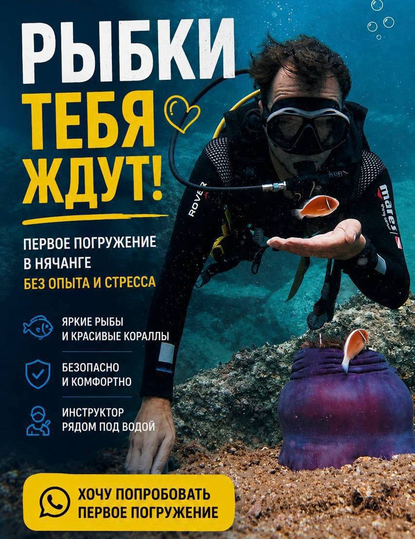 Индивидуальные погружения с русским инструктором, 11+ лет опыта, 10000+ погружений.