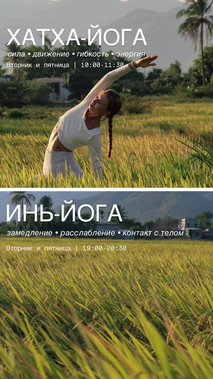 Регулярные занятия хатха-йогой и инь-йогой в камерной группе в уютном…
