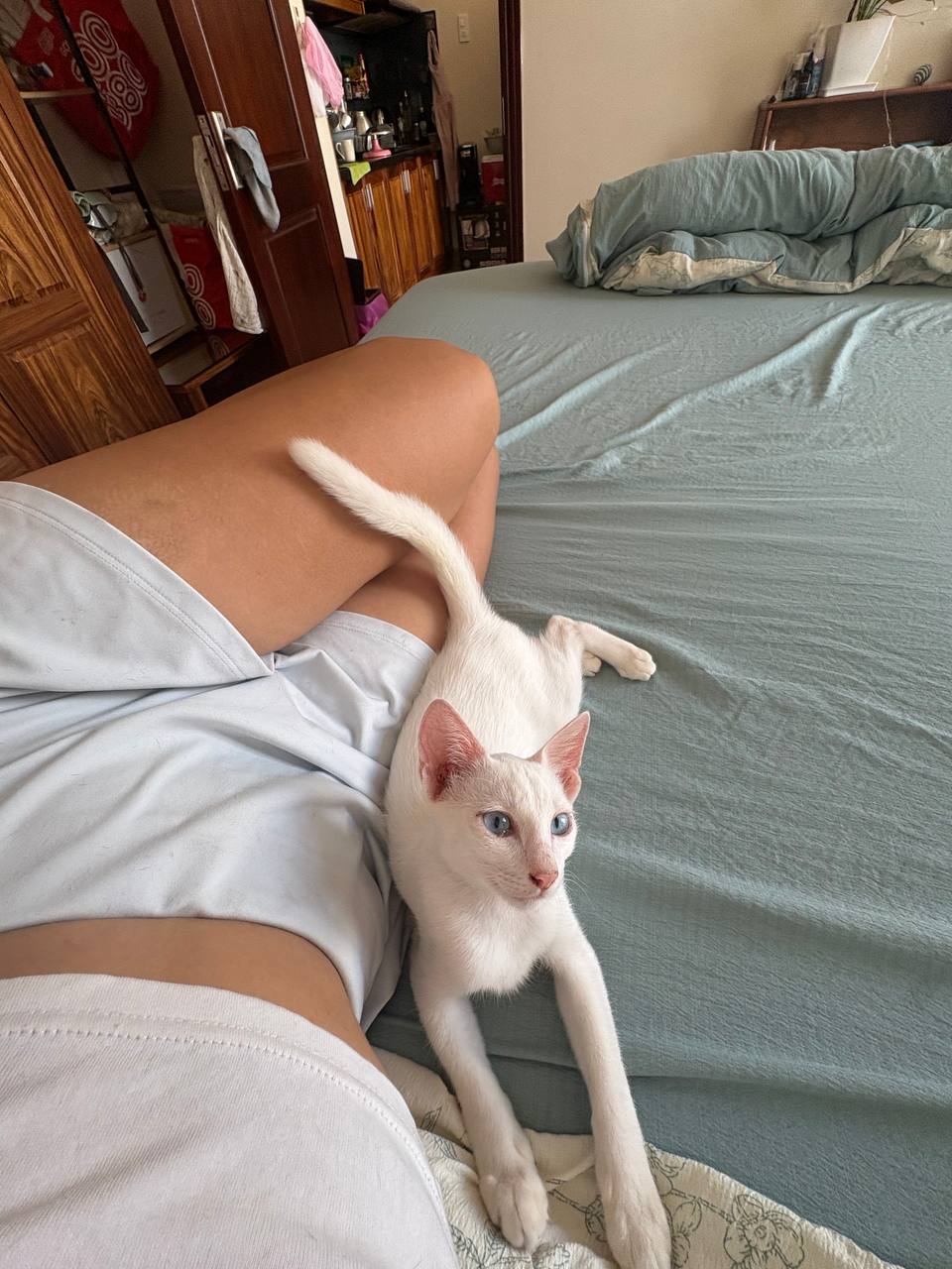Малышка ищет дом