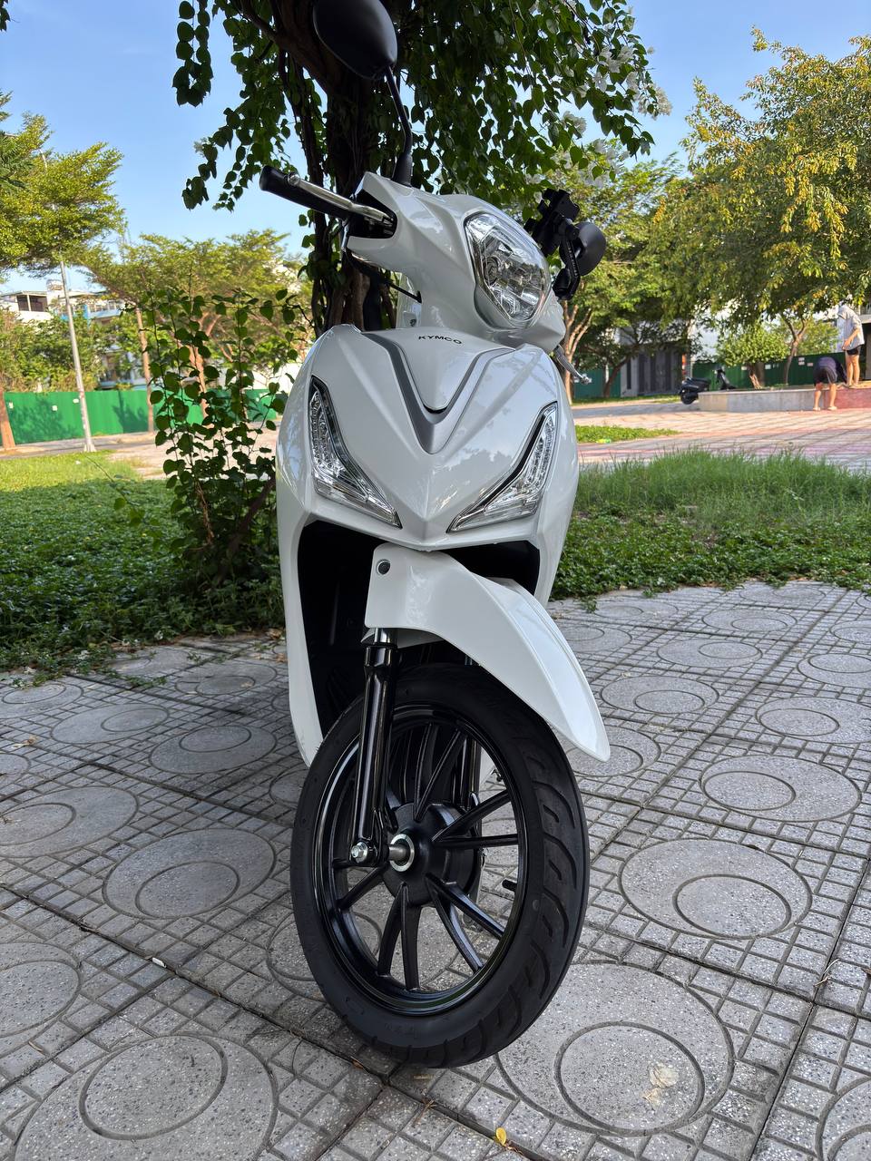 Фото 2: Kymco Hermosa 50CC, куплен новым в салоне в июле 2025 года, пробег 300