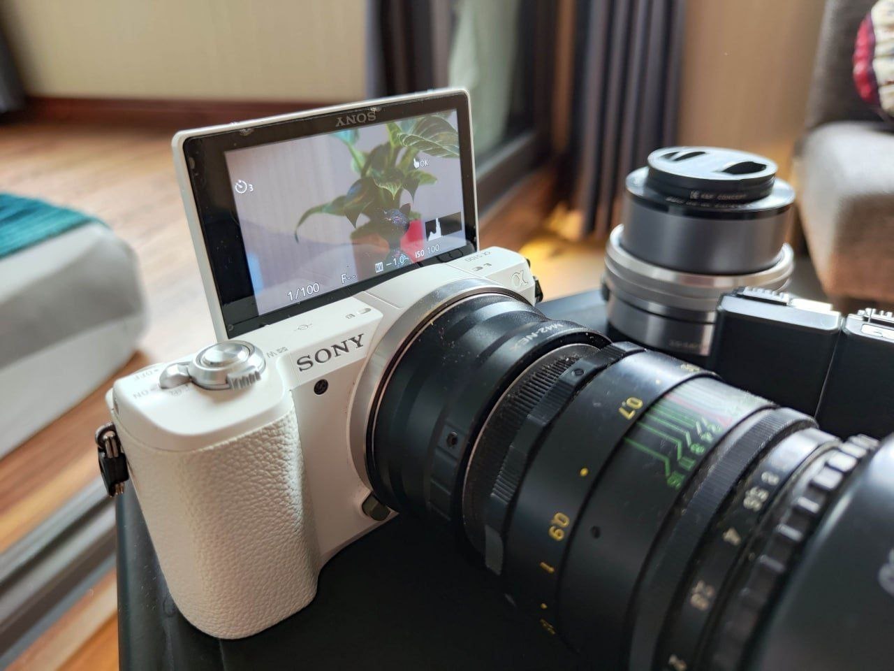 Фото 3: Продаётся компактная камера Sony a5100 в отличном состоянии с поворотным экраном.