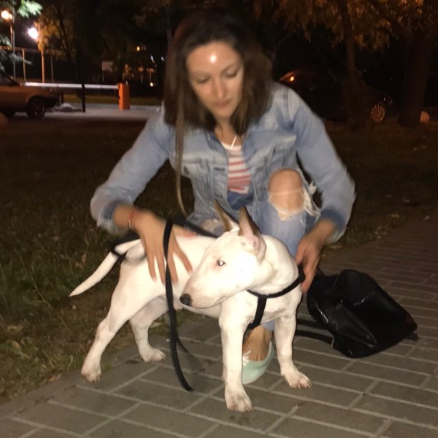 Предоставляю услуги передержки домашних животных в Нячанге, в ЖК Океан