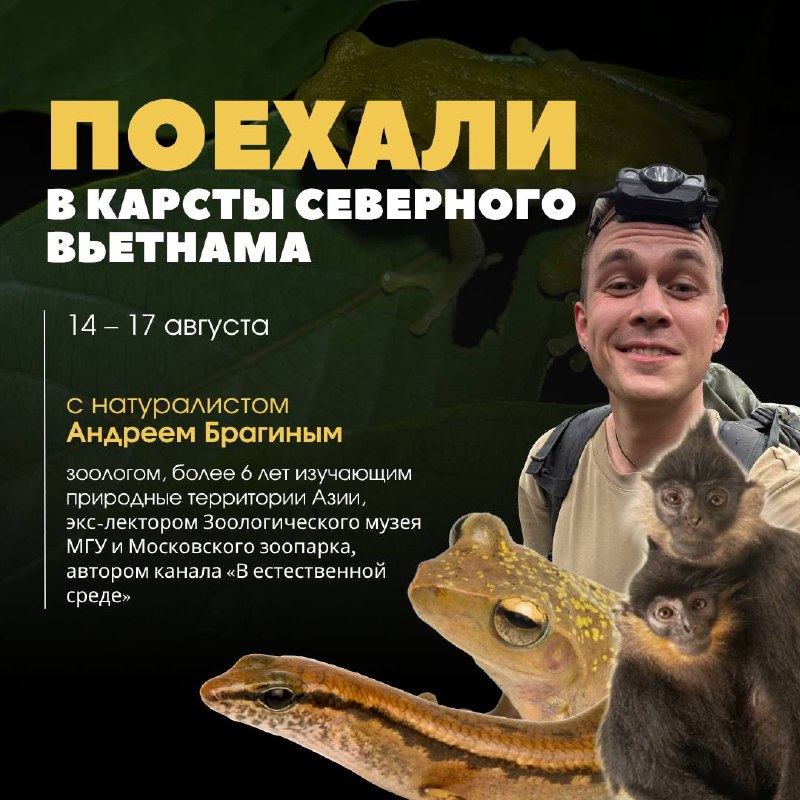 Экскурсия по карстовым массивам Северного Вьетнама с натуралистом с 14 по 17 августа.
