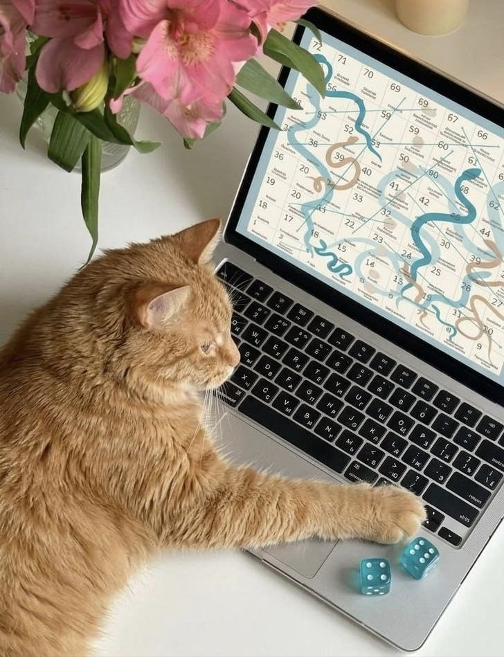 Приглашаю на индивидуальную онлайн-игру Лила, которая помогает увидеть