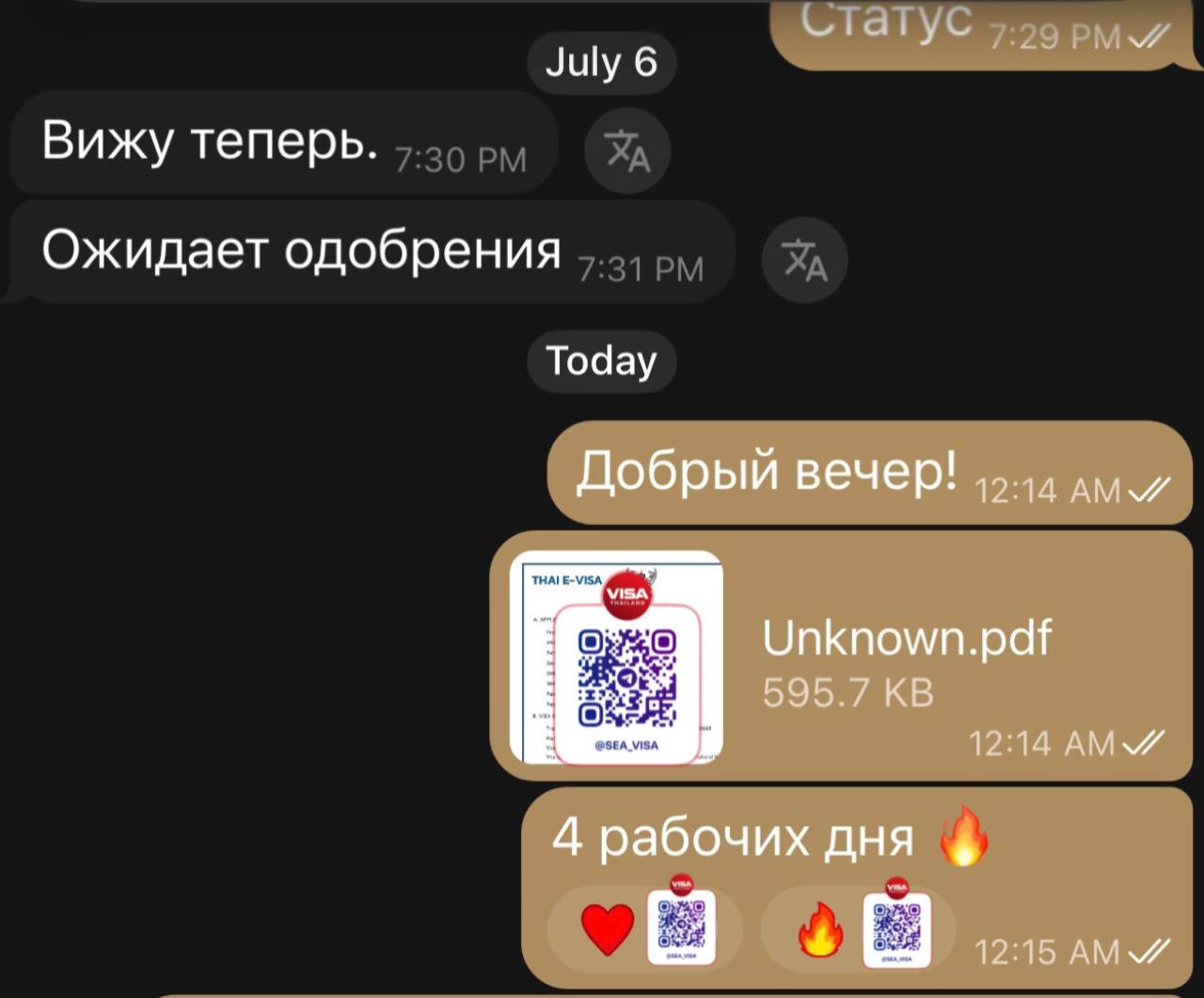 Оформление ДТВ визы на 5 лет